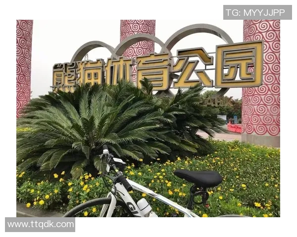 熊猫体育安全与合规管理的最佳实践与未来发展趋势探讨