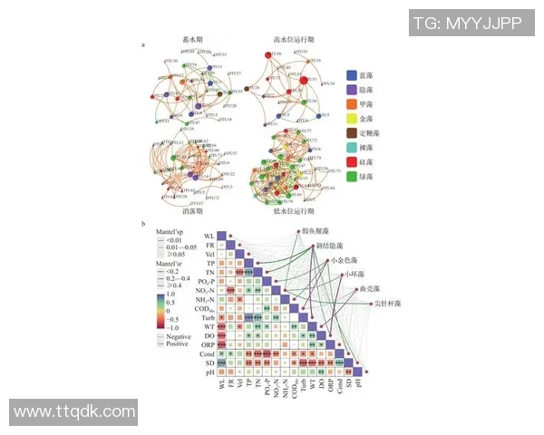 探索uu国际状态压缩方案的创新应用与技术优势分析 探索uu国际状态压缩方案的创新应用与技术优势分析