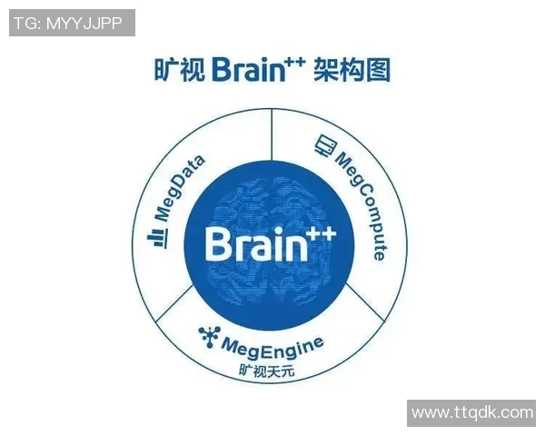 红桃国际自主决策框架助力企业创新与可持续发展新模式探讨